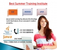 Obtain Six Month Summer Training Through Our Best Institute